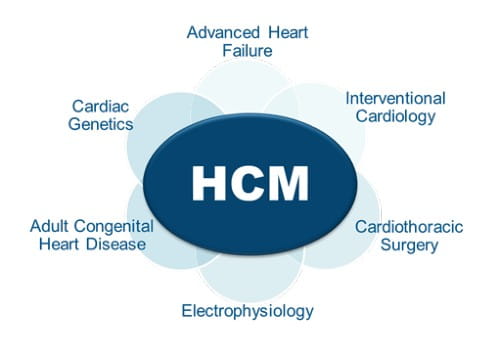 The HCM team at MUSC Health specializes in six areas: Advanced Heart Failure, Interventional Cardiology, Adult Congenital Heart Disease, Electrophysiology, Cardiac Genetics, and Cardiothoracic Surgery.
